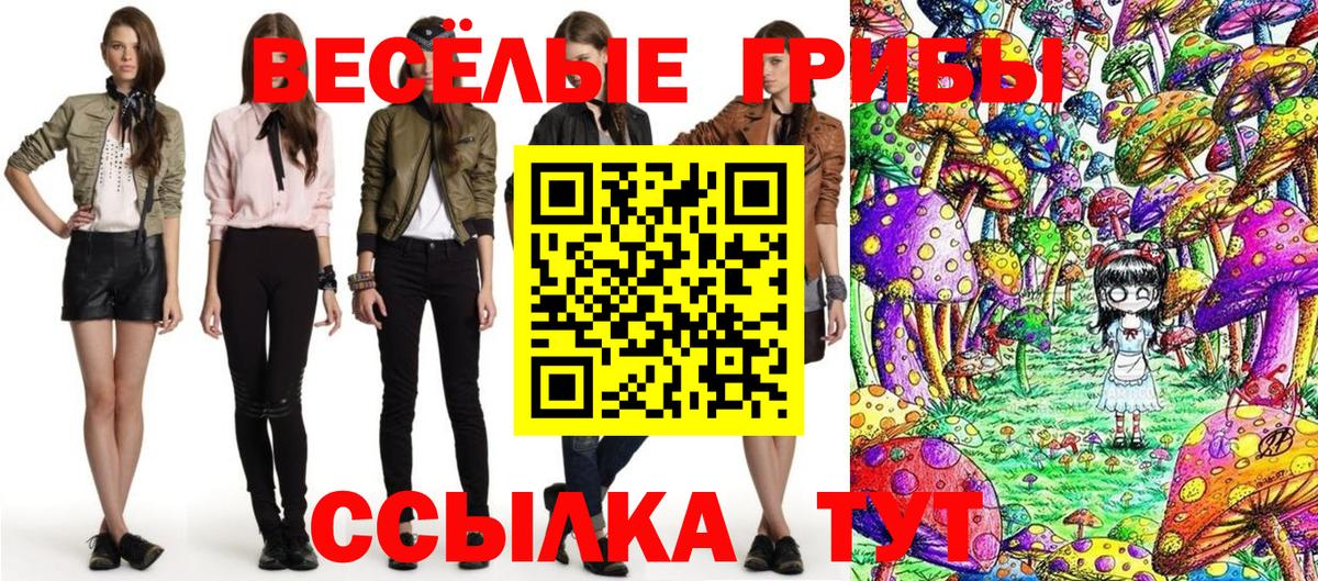 Псилоцибиновые грибы GOLDEN TEACHER  Вход с VPN  Псилоцибиновые грибы MAGIC MUSHROOMS  Майкоп 